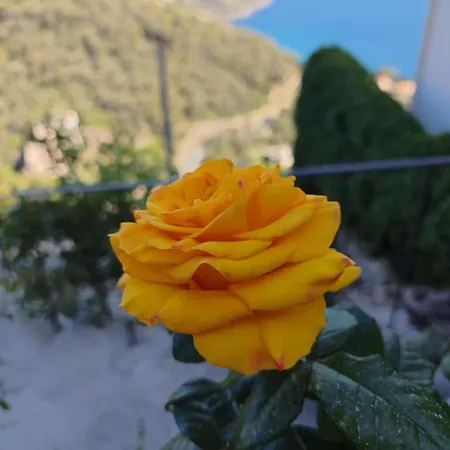 House With Sea And Mountain Views Next To Monaco Roquebrune-Cap-Martin